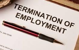 employment attorney